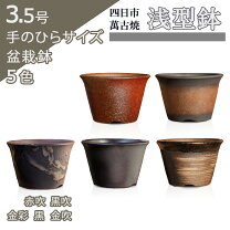 楽天市場】植木鉢 赤（種類（植木鉢）盆栽鉢）の通販