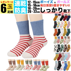 LbY C L 18cm-20cm {[_[hbc qǂp 6gZbg 5g +܂1g  WjA \bNX ̎q q ۈ牀 ct w j̎q t  H ~  j ǂ v 