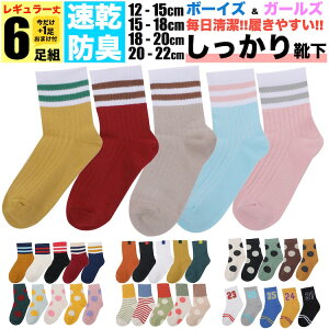 LbY C L 18cm-20cm lI JbW qǂp 6gZbg 5g +܂1g  WjA \bNX ̎q q ۈ牀 ct w j̎q t  H ~  j ǂ v 