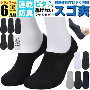  ubN hL C XSu Ԃ\bNX Y n 6gZbgi5g + 1g܂j 24-28cm EȂ  ėp t H AEghA E~lR RAYMARC uh Xj[J[ \bNX L