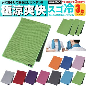 C E~lR ⊴^I p^I X|[c^I N[^I 3 Zbgi1{2܂j  l LbY q p v[g  唻 X|[c 30cm 80cm 30 x 80 uv ẴC