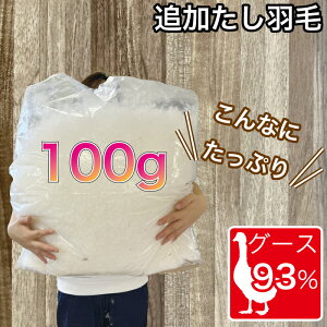 Hѕzc ł ǉ H zCgO[X93% 100g tH[