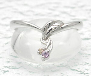 T500~N[| SV925 p[vTt@CA _Ch `F[ Ow Vo[925 SILVER X^[OVo[ Tt@C _CAh a 9a   bZ