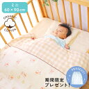 日本製 ベビー布団セット ミニ10点 オーガニックコットン ダブルガーゼ 綿100% 全て洗える 60×90cm ミニサイズ ミニベッドディズニー プーさん ミッキー Disney Pooh Mickey un doudou MF