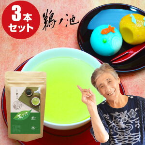 �V�� 2025�N ������ ���� �������� ��������100g 3�܃Z�b�g 300g ���[���� ���� �Β� ���{�� ���t �[������ ���� �⒃ ���� �|�C���g���� �ʔ� ���y�Y �Z�b�g ���蕨 �����L���O ��B�Y �L�m�r����