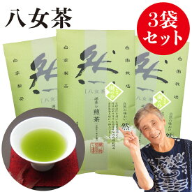 2025 新茶 八女茶 煎茶 送料無料 100g 3袋セット メール便 樹の抄 然 お茶 緑茶 日本茶 茶葉 煎茶 国産 冷茶 一番茶 葉 深蒸し ご当地 お取り寄せ お土産 九州産 ランキング 鵜ノ池製茶