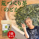 ＜マラソン期間 半額＞ 50%OFF 新茶 2025年 八女茶 煎茶 送料無料 のどか 荒作り茶 100g 5袋セット 緑茶 日本茶 茶葉 深蒸し茶 煎茶 国産 冷茶 深むし 一番茶 贈り物 プレゼント お土産 通販 九州産 ネコポス 鵜ノ池製茶