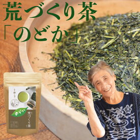 ＜マラソン期間中 40%OFF＞ 2024 新茶 八女茶 煎茶 送料無料 荒作り茶 のどか 100g メール便 お茶 緑茶 日本茶 茶葉 深蒸し茶 煎茶 一番茶 お土産 通販 九州産 ランキング 深むし 鵜ノ池製茶