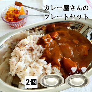 2皿セット カレープレート カレー皿 ステンレス 楕円 おしゃれ セット 壊れない インド 欧風 昭和レトロ 食器