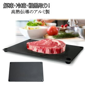 解凍プレート 急速解凍 日本製 解凍皿 粗熱 プレート キッチン 道具 便利グッズ 冷凍 肉 の 解凍 方法