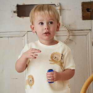 j̎q LbY xr[ qǂ ĕ TVc btn n[tpc  ʉ ʊw o XgCv n  s t  H 70 80 90 100 110 120 130 cm db2240860 dave&bella fCux