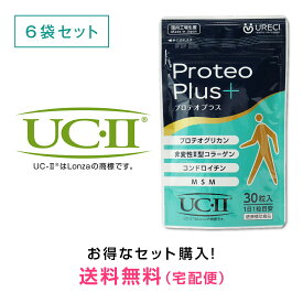プロテオプラス30粒入り(6袋セット) プロテオグリカン サプリ サプリメント 非変性 2型コラーゲン II型コラーゲン UC-2 UC-II コンドロイチン MSM 日本製 約6ヶ月分
