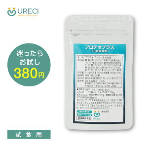 y10zveIOJ UC-IIz veIvX 10 Tv Tvg RhC` MSM ϐII^R[Q { bkޕsgp