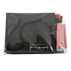 v[gbsOރZbgy ubN z^莆 񂰑 Ԃo ̂΂ xV[