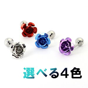   Ԃт y F F     z KN̉ JtX   j 킢  X[c lC JtOX v[g Mtg  w l