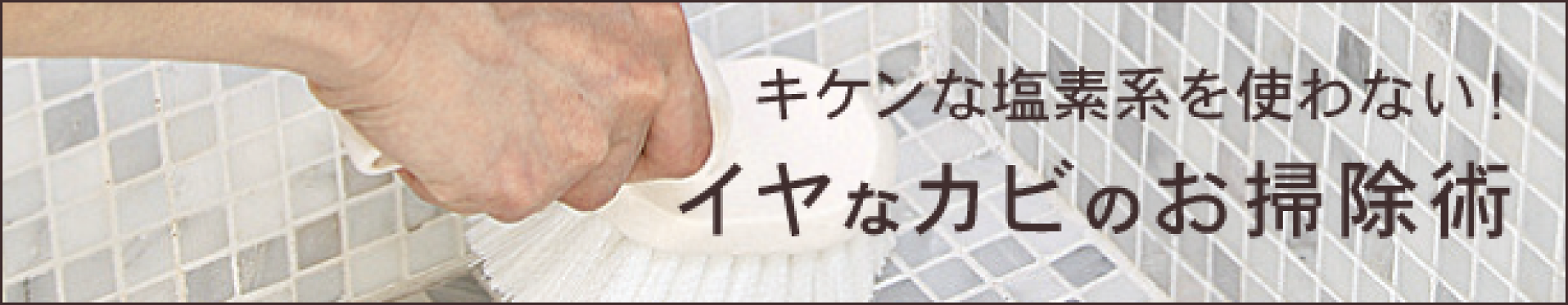 イヤなカビのお掃除術