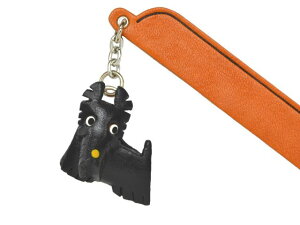 XbRb`eA `[ubN}[J[yU[ {v VANCA oJNtgv Y nhCh 蕨 [z