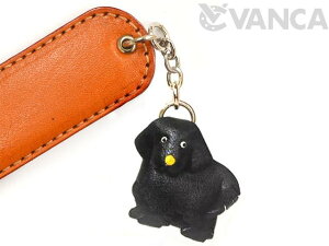 j[t@hh y[p[iCtyU[ {v VANCA oJNtgv Y nhCh 蕨 [z