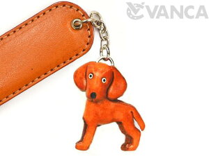 C}i[ y[p[iCtyU[ {v VANCA oJNtgv Y nhCh 蕨 [z