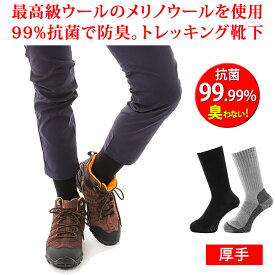 楽天市場 登山 靴下の通販