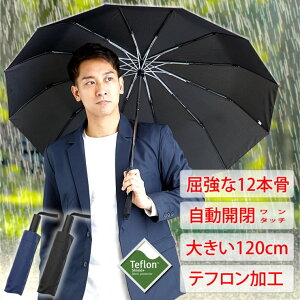 肽ݎP Y fB[X 12{ J {etŝEhEh} ܂肽 P 傫 JP 肽ݎP P uvJbg Ռ y ܂Ȃ ɋ PpJP 