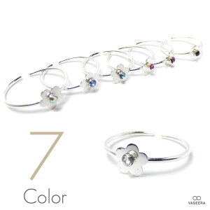 VASEERA -@V[- XtXL[NX^ fCW[iqiMN) Vo[925 t@WO(~fBO)/gDO yfB[X / SILVER925/ w / PLTR-010z