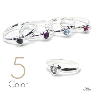 VASEERA -@V[- XtXL[NX^ ptn[g Vo[925 t@WO(~fBO)/gDO yfB[X / SILVER925/ w / PLTR-011z