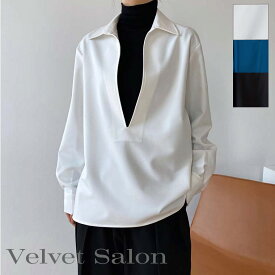 ブラウス レディース 秋の新デザイン V ネックシャツ レディースシャツ ファッション アウター トップ ゆったり 大人 上品 きれい トップス ブラウス 夏 スタイリッシュ 20代 30代 40代 50代 白 ホワイト 黒 ブラック 青 ブルー おすすめ