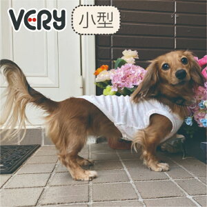 yc4 eLXĝ݁z      ^Ngbv H Webvg^Ngbv t H~ ^ _bNX  uh   v`v   yA ybgE