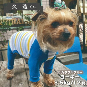 ycTCY킸z  p[X ڐG⊴    Web{[_[ Jo[I[ t H~ ^  uh   v`v   yA ybgEFA ybg 