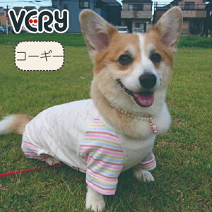 ycC7O[t[̂݁z    WebvgJo[I[ t H~ ^ R[M[ uh   v`v   yA ybgEFA ybg p