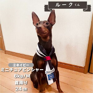 y݌Ɏc킸z    uh  t t ĕ ^     UVJbg N[   yA hbOEFA ybgEFA j̎q ̎q o_i coolc