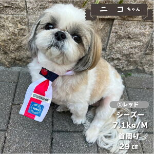 y݌Ɏc킸z    uh  t t ĕ ^     UVJbg N[   yA hbOEFA ybgEFA j̎q ̎q o_i coolc