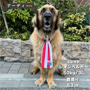    VERY ^TCY  t t ĕ     UVJbg N[   yA hbOEFA ybgEFA j̎q ̎q o_i coolcore2WAYo_i 3LT