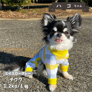 ycTCYz    p[X ڐG⊴  t t ĕ ^       UVJbg N[  p[X  yA hbOEFA ybgE