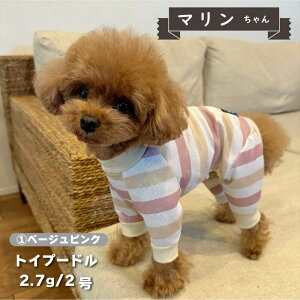 ycTCYz    p[X ڐG⊴  t t ĕ ^       UVJbg N[  p[X  yA hbOEFA ybgE