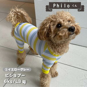 ycTCYz    p[X ڐG⊴  t t ĕ ^       UVJbg N[  p[X  yA hbOEFA ybgE