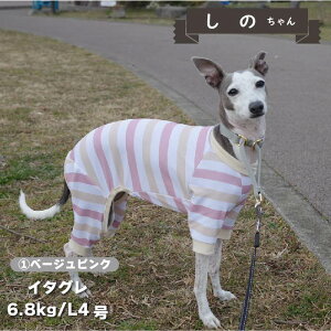 ycTCYz    p[X ڐG⊴  t t ĕ ^       UVJbg N[  p[X  yA hbOEFA ybgE