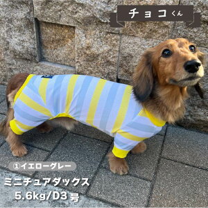 ycTCYD2,D3z  t   p[X ڐG⊴  t ĕ _bNX      UVJbg N[  p[X  yA hbOEFA ybgEF