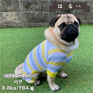 ycTCYFB4̂݁z    p[X ڐG⊴  t t ĕ tu pO     UVJbg N[  p[X  yA hbOEFA ybg