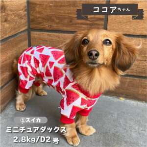 ycTCYD2AD4ԉ΂̂݁z    p[X ڐG⊴  t ڐG⊴ t ĕ _bNX      UVJbg N[  p[X  yA hb