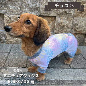 ycTCYD2AD4ԉ΂̂݁z    p[X ڐG⊴  t ڐG⊴ t ĕ _bNX      UVJbg N[  p[X  yA hb