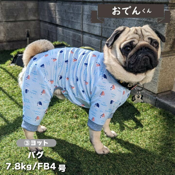 楽天市場】犬 服 犬服 ブランド 夏 春 春夏 夏服 フレブル パグ 