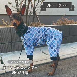 ycTCY2At@xbĝ݁z  t  At@xbgvg Jo[I[ ^  O΍ p[X     hbOEFA t ĕ gCv[h `