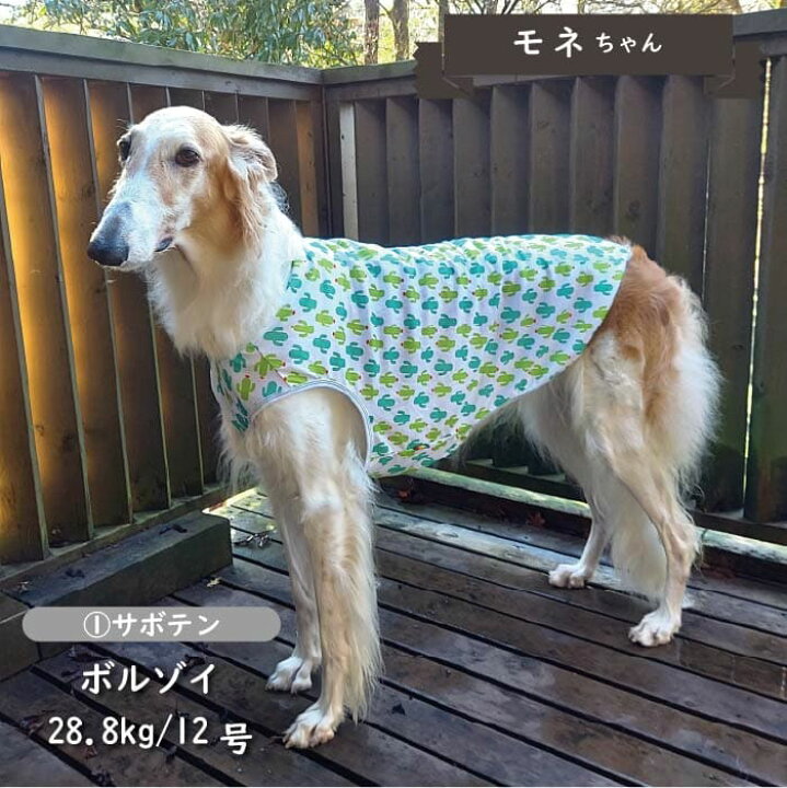 楽天市場】30%OFFセール 犬 服 犬服 接触冷感 濡らして冷たい クール 