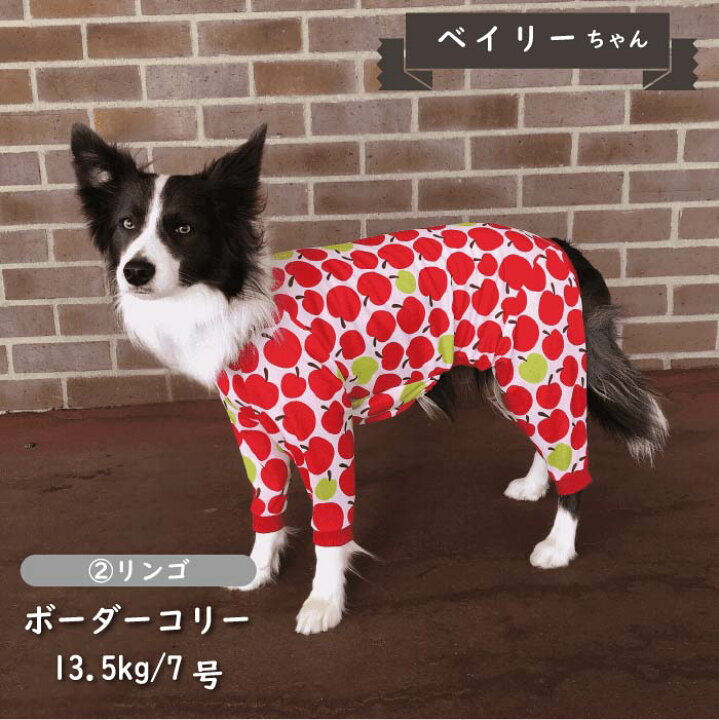 楽天市場】30%OFFセール 犬 服 犬服 接触冷感 濡らして冷たい クール 