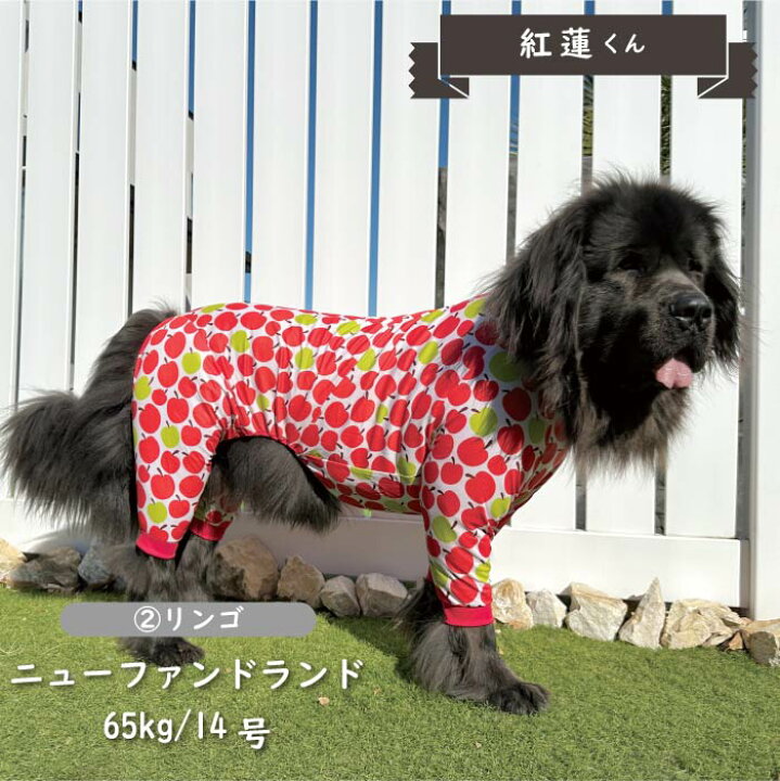 楽天市場】30%OFFセール 犬 服 犬服 接触冷感 濡らして冷たい クール 