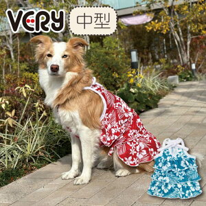 ycTCY6̂݁z 30%OFF Z[      ^Ngbv H Web ڐG⊴ G炵ė₽ L~\[N[s[X  t ĕ ^ R[M[ uh   