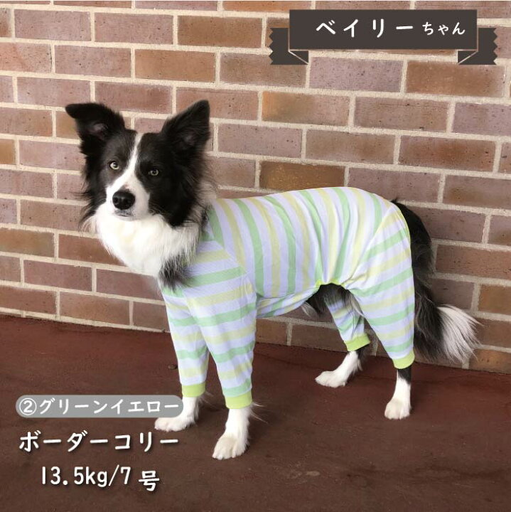 楽天市場】30%OFFセール 犬 服 犬服 Web限定 接触冷感 濡らして冷たい 