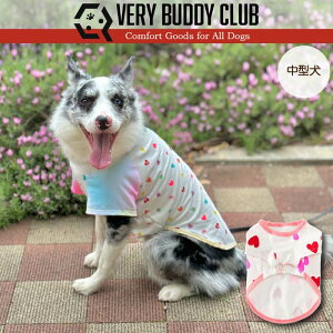 ycTCY6̂݁z    ^ Webn[gvgTVc  t t tďH~ uh   v`v   yA ybgEFA ybg n[g Ȃ 